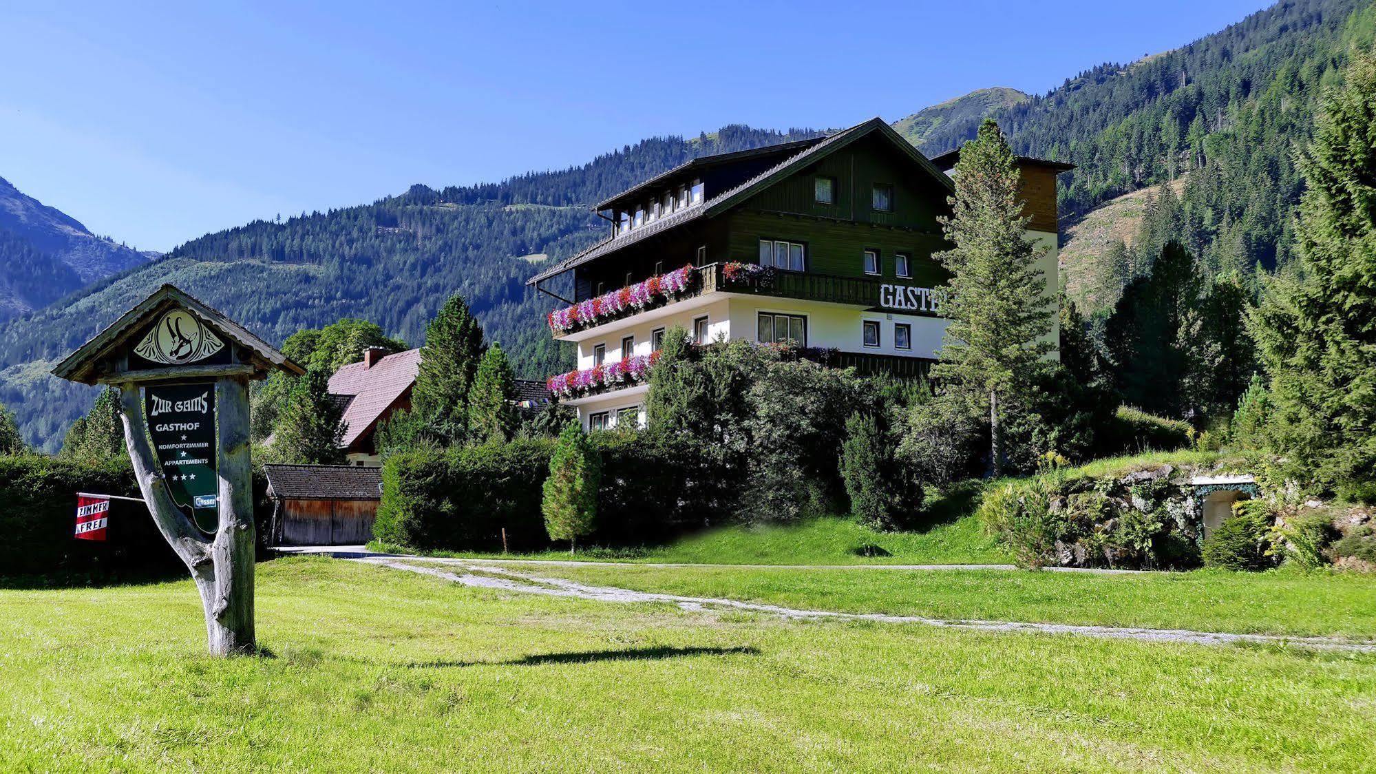 Gasthof Zur Gams Доннерсбахвальд Экстерьер фото